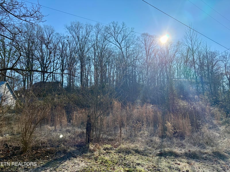 117 Hoskins Ln, Clinton, TN 37716