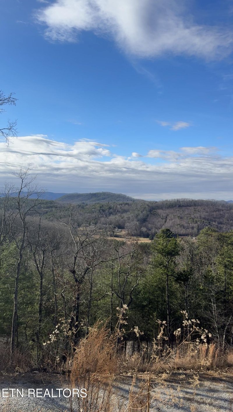 117 Indian Ridge Dr, Tellico Plains, TN 37385