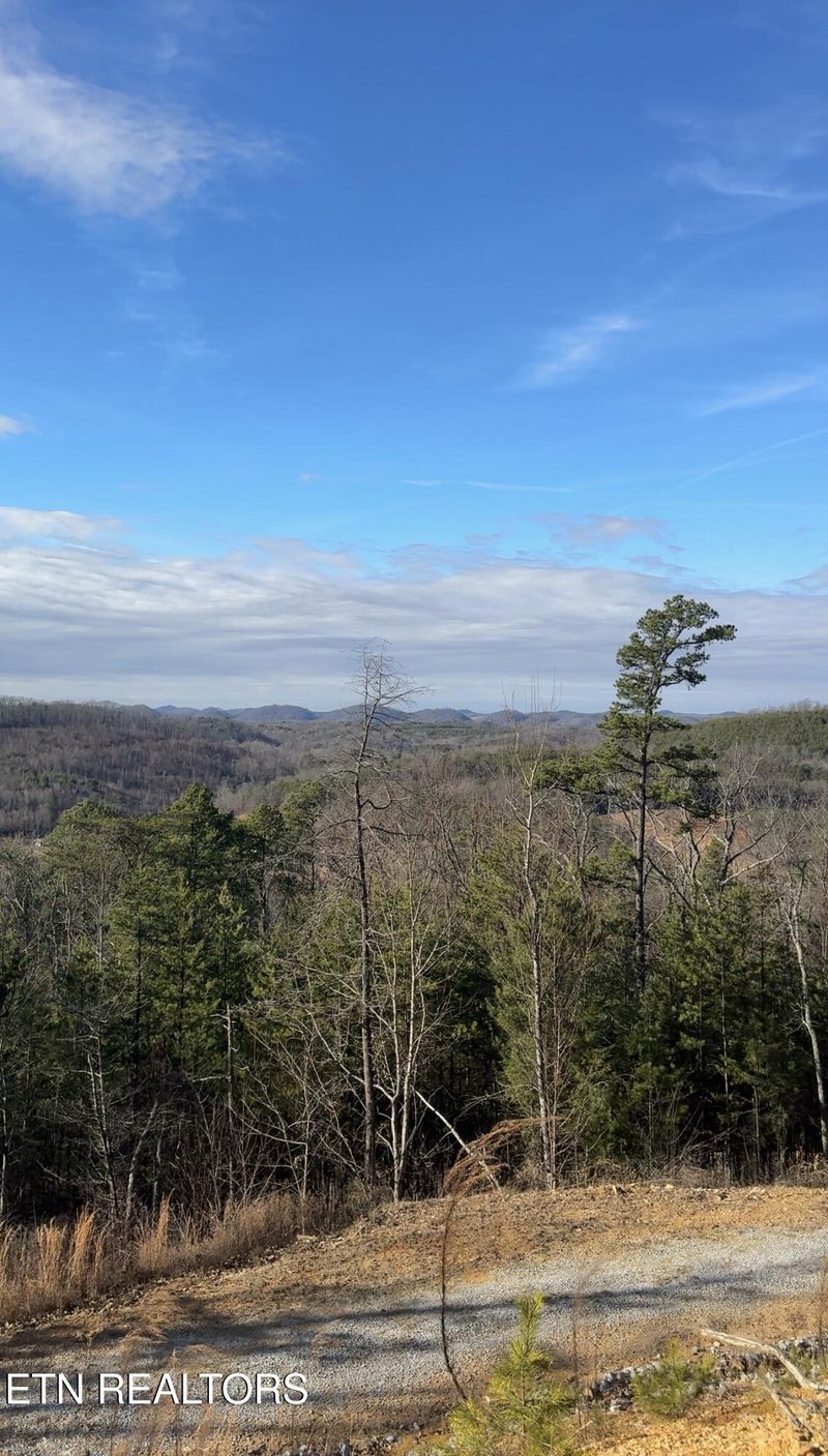 117 Indian Ridge Dr, Tellico Plains, TN 37385