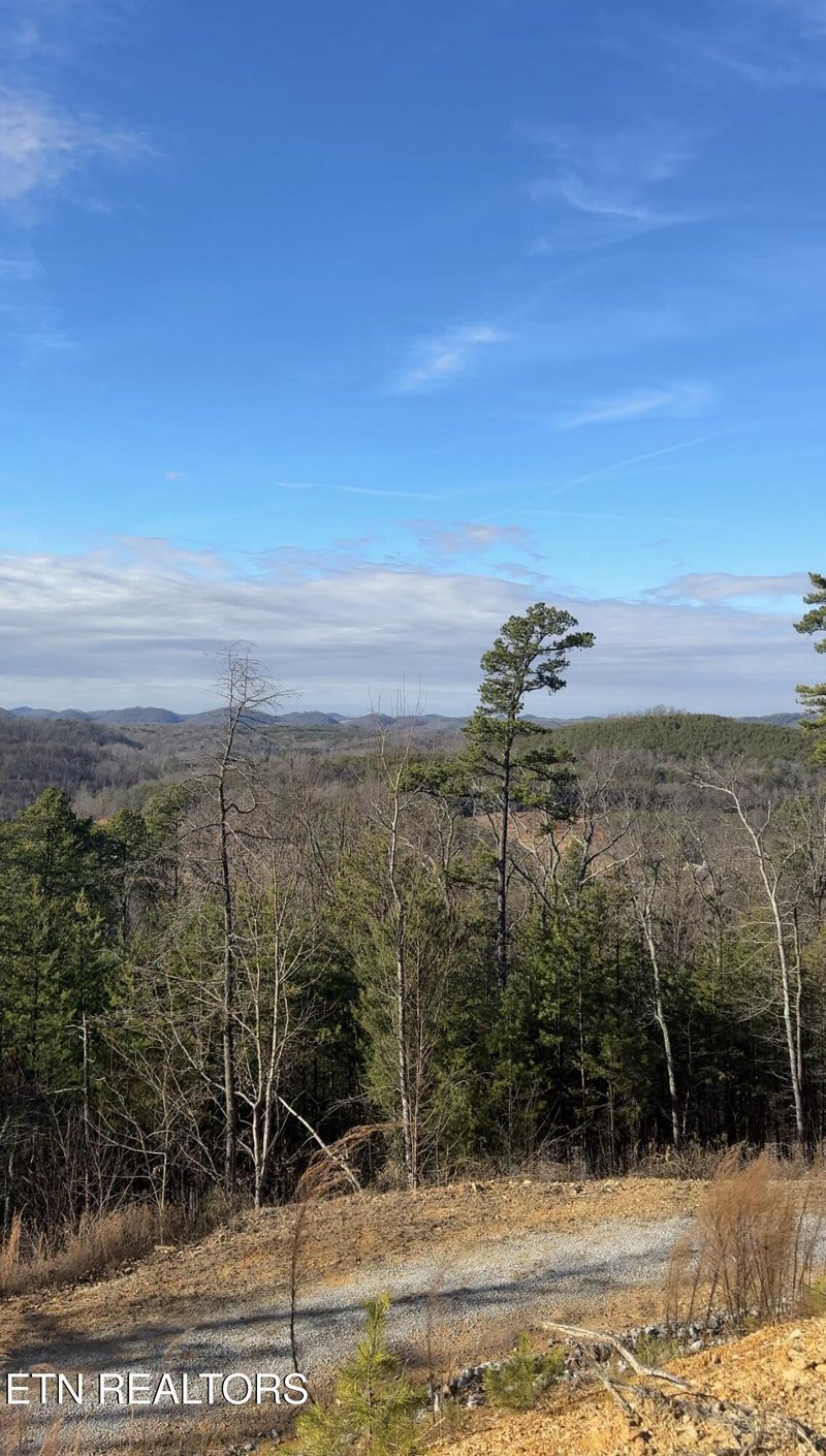 117 Indian Ridge Dr, Tellico Plains, TN 37385