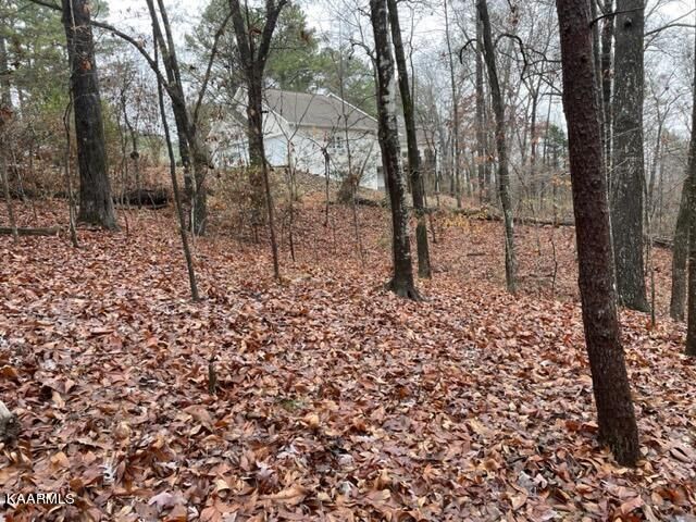 117 Sasa Way, Loudon, TN 37774