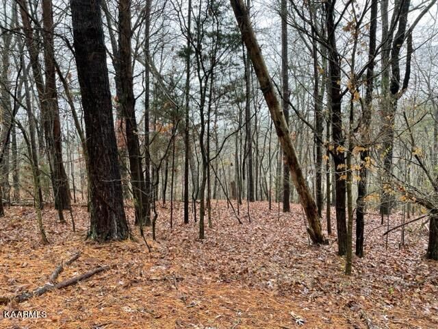 117 Sasa Way, Loudon, TN 37774