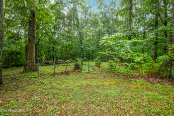 117 Skyline Ln, Powell, TN 37849