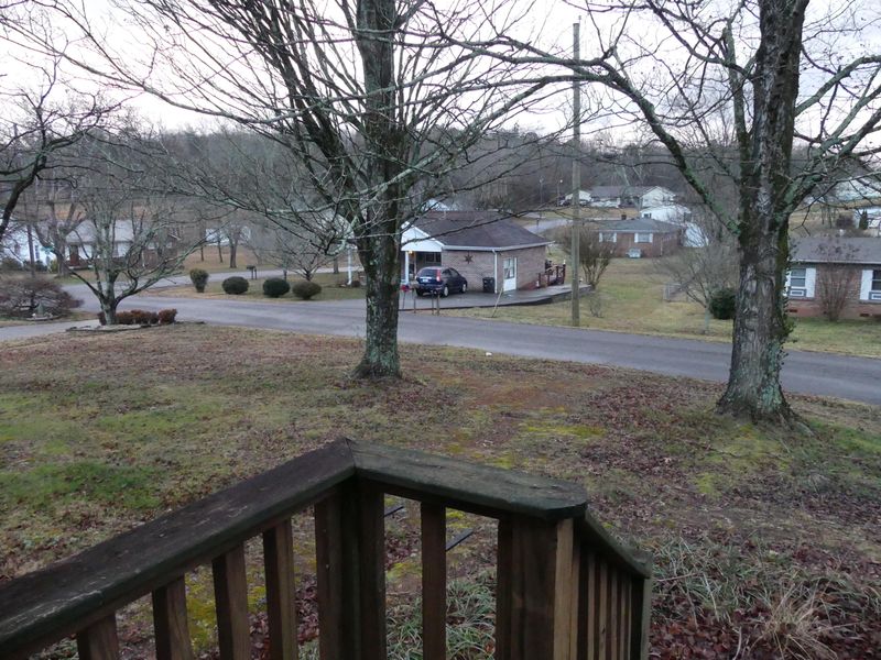 117 Stanton Ln, Athens, TN 37303