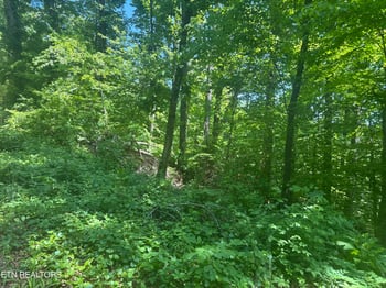1170 SW Navy Dr, Knoxville, TN 37920