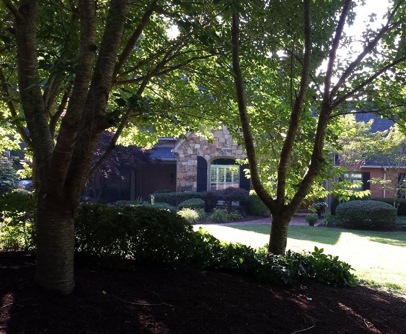 11707 Couch Mill Rd, Knoxville, TN 37932