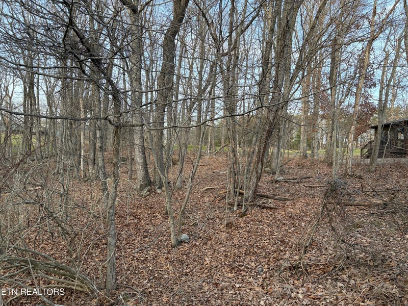 118 Baltusrol Rd, Fairfield Glade, TN 38558