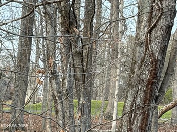 118 Baltusrol Rd, Fairfield Glade, TN 38558