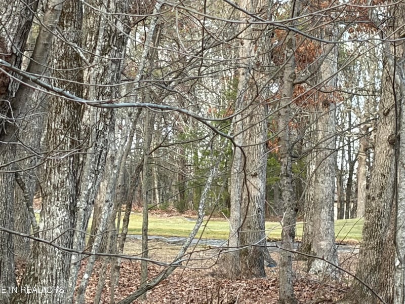 118 Baltusrol Rd, Fairfield Glade, TN 38558
