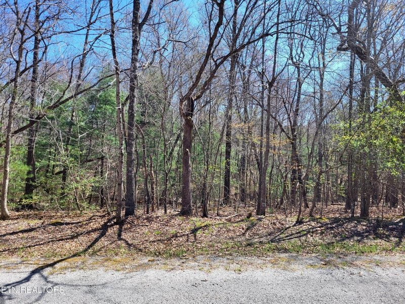 118 Dalefield Loop, Crossville, TN 38558
