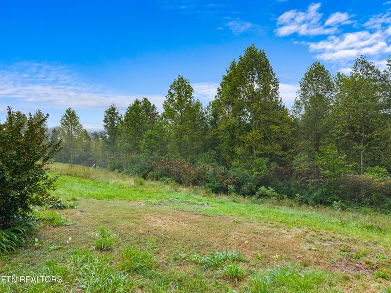 118 Delia Young Ln, Wartburg, TN 37887