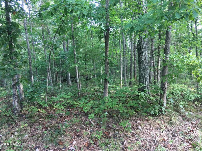 118 Liverpool Cir, Fairfield Glade, TN 38558