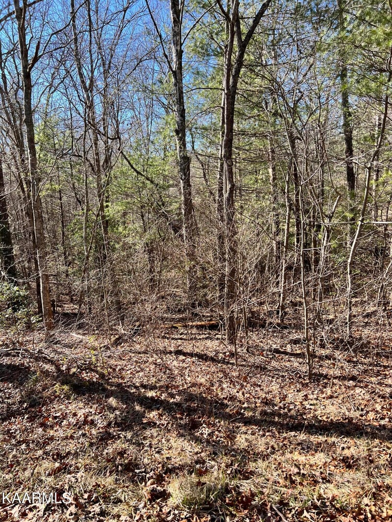 118 Natchez Cir, Crossville, TN 38558