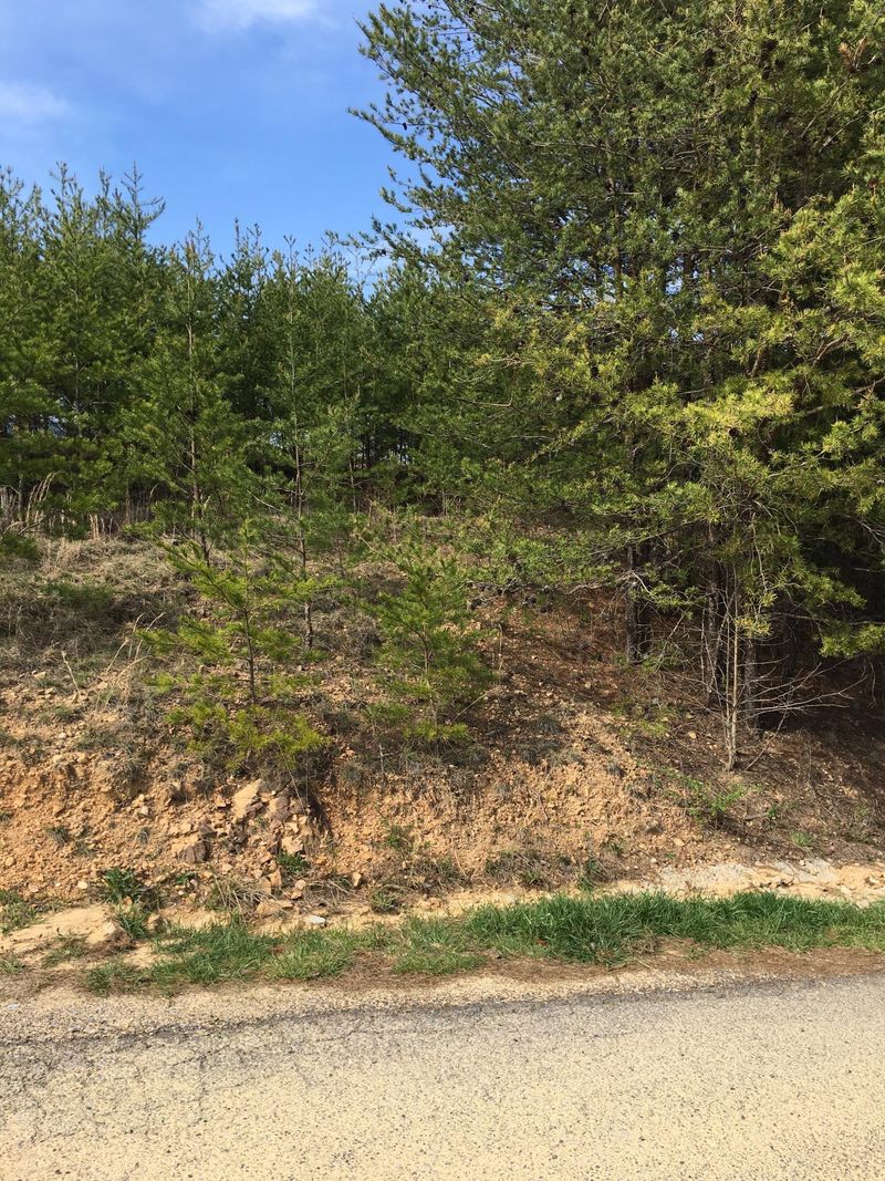 118 Skyline Dr, Tellico Plains, TN 37385