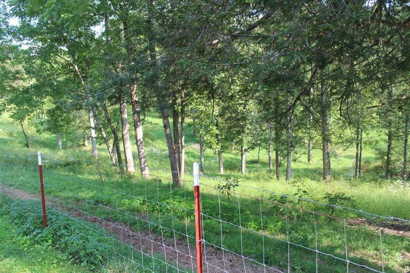 1183 Burrvile Rd, Sunbright, TN 37872