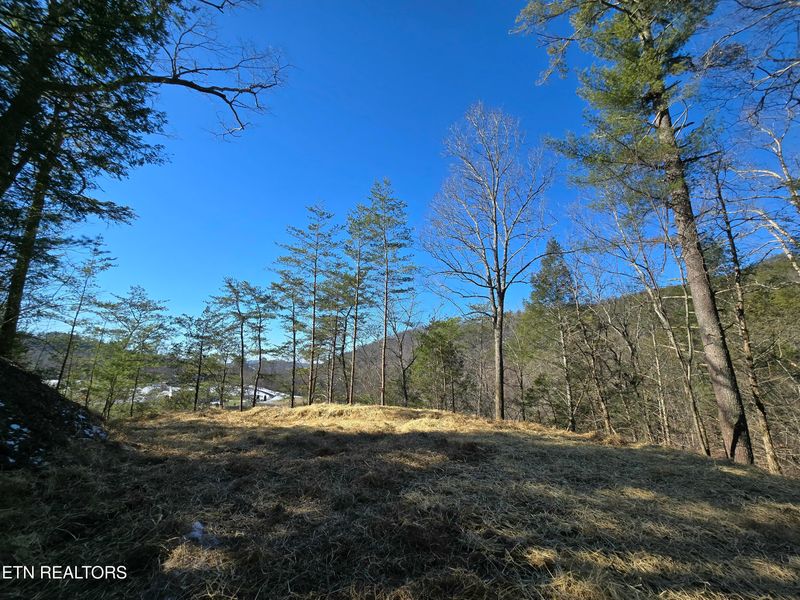 1184 Shell Mountain Rd, Sevierville, TN 37876
