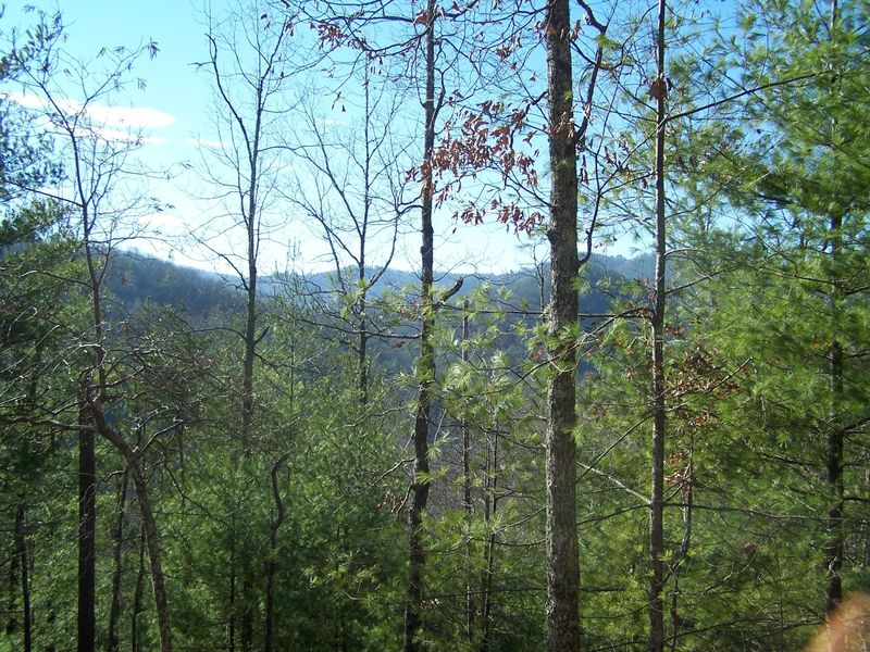 119 Anatole Ps, Townsend, TN 37882