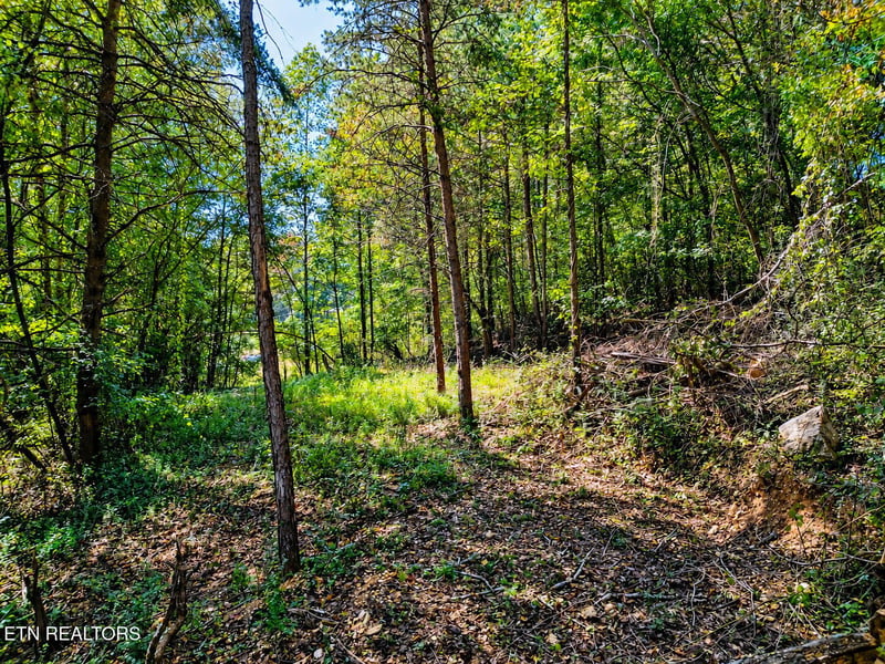 119 Baker Rd, Rockwood, TN 37854