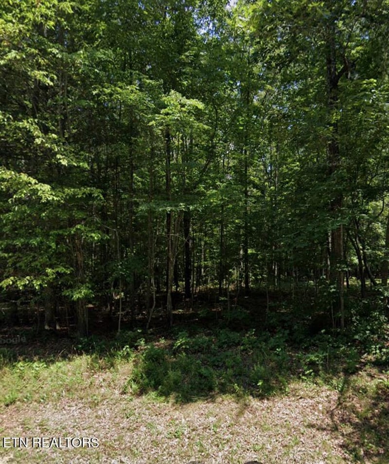 119 Beachwood Dr, Crossville, TN 38558