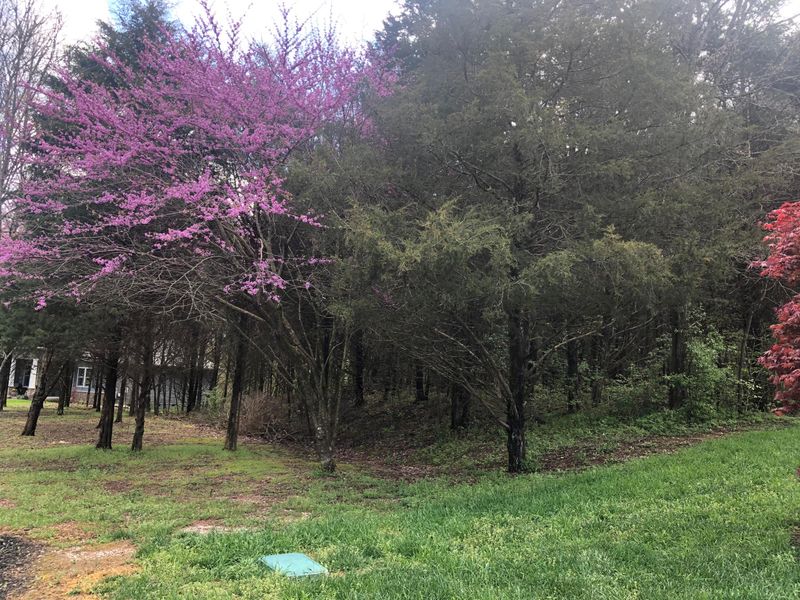 119 Dudala Way, Loudon, TN 37774