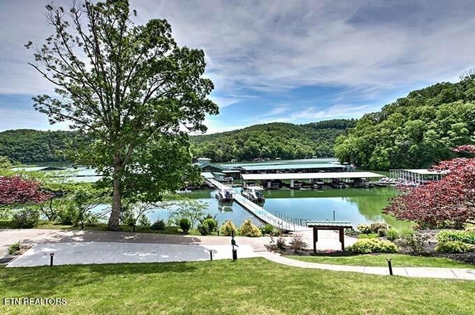119 Evergreen Cir #302, Caryville, TN 37714