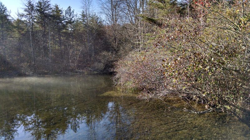 119 Hunterwood Ln, Fairfield Glade, TN 38558