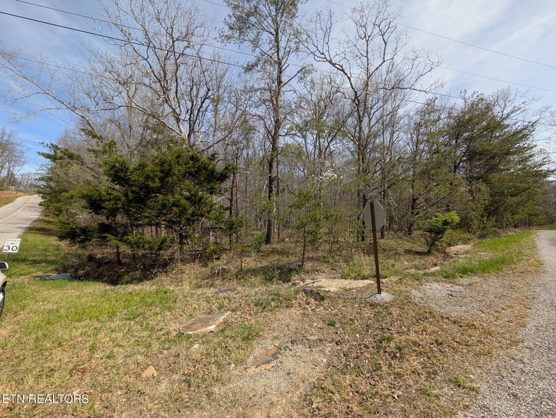 119 Kings Down Dr, Crossville, TN 38558