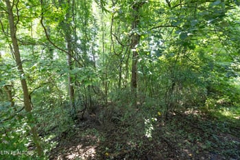 119 Kirby Ln, Rockwood, TN 37854