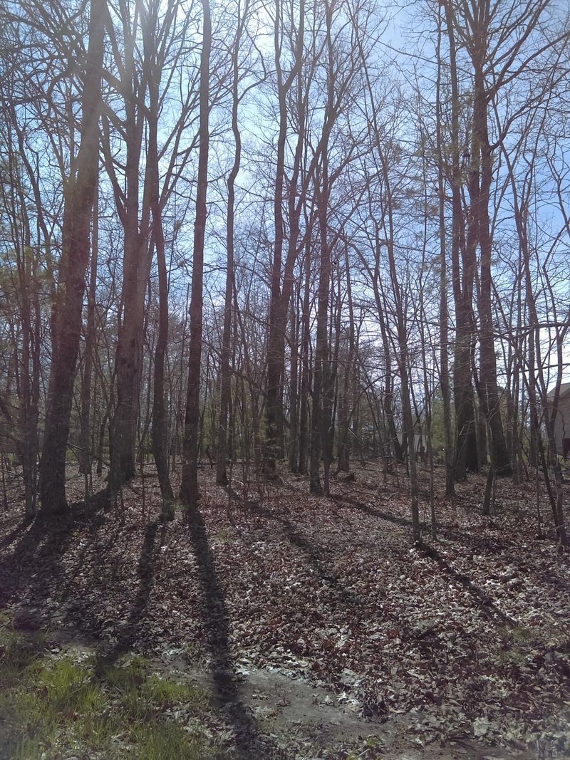 119 Markham Ln, Fairfield Glade, TN 38558