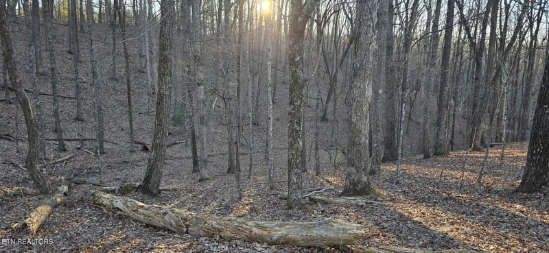 119 Pineridge Loop, Fairfield Glade, TN 38558