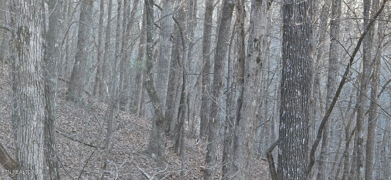 119 Pineridge Loop, Fairfield Glade, TN 38558