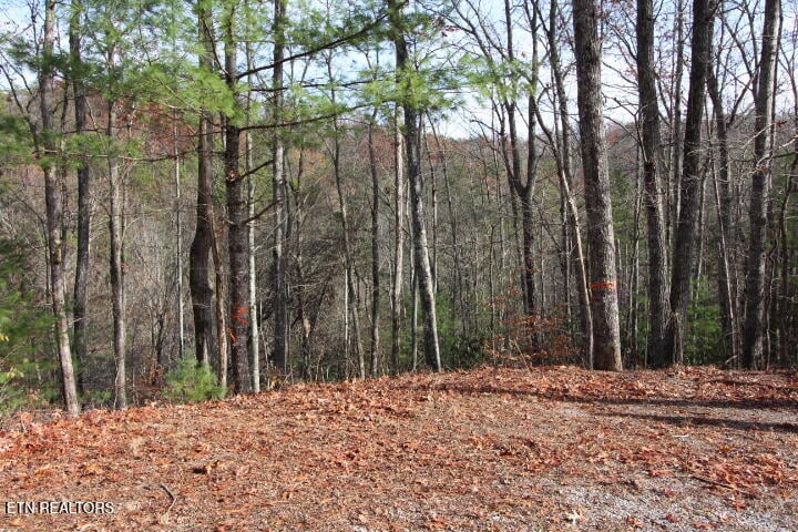 119 Taylors Rdg Rd, Walland, TN 37886