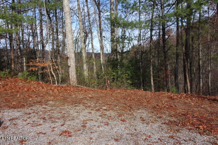 119 Taylors Rdg Rd, Walland, TN 37886
