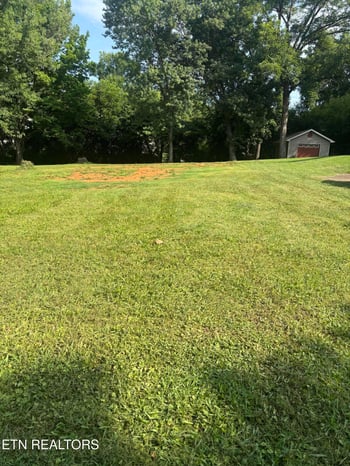 119 Waller Ave #7R, Maryville, TN 37803