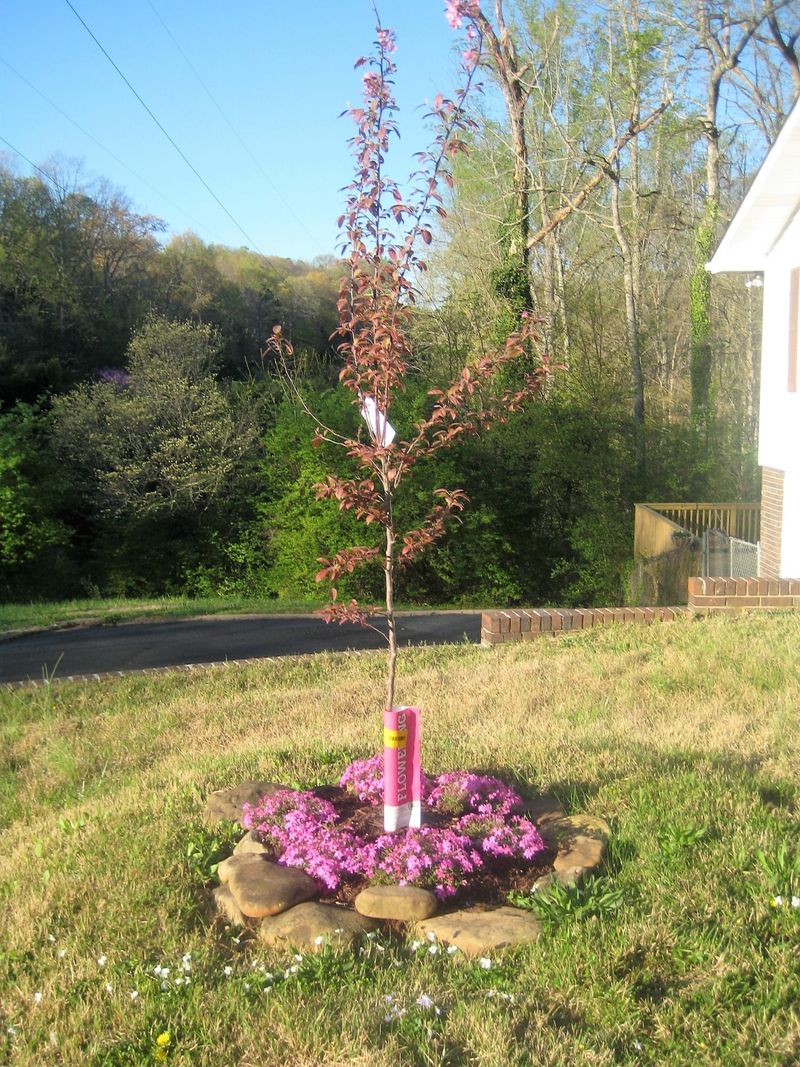 119 Windham Rd, Oak Ridge, TN 37830