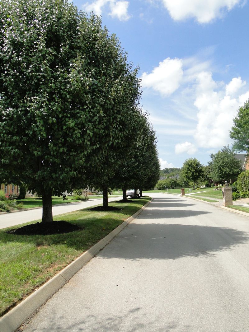 11930 Abners Ridge Dr, Knoxville, TN 37934