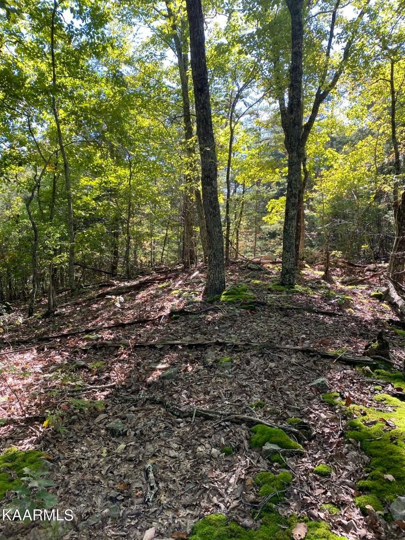 1194 Dogtown Rd, Ten Mile, TN 37880