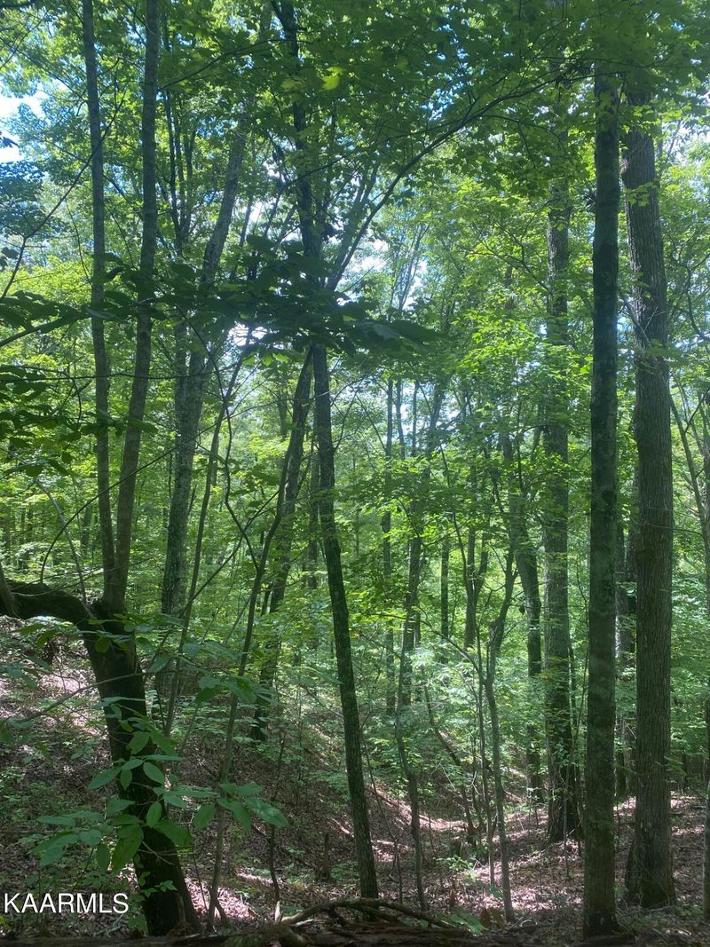 1194 Dogtown Rd, Ten Mile, TN 37880