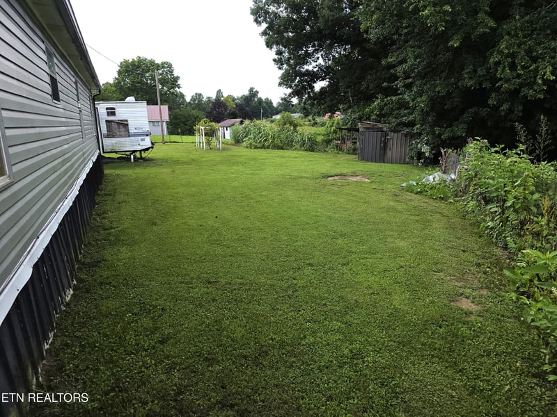 1195 Buffalo Rd, Oneida, TN 37841