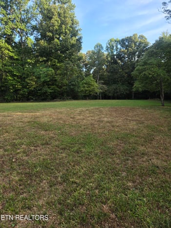 1198 Mill Creek Rd, Sunbright, TN 37872