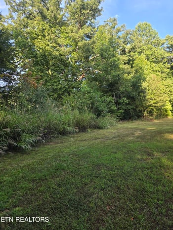 1198 Mill Creek Rd, Sunbright, TN 37872