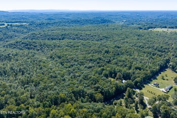 1198 Mill Creek Rd, Sunbright, TN 37872