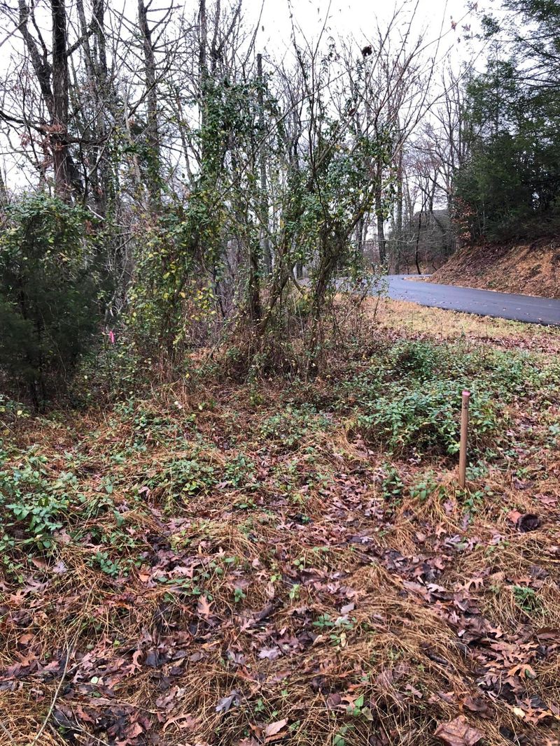 12-C Monte Wood Cir, Pigeon Forge, TN 37863