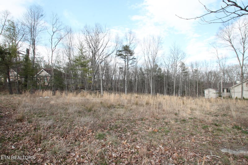 12 Walden Ridge Cir, Fairfield Glade, TN 38558