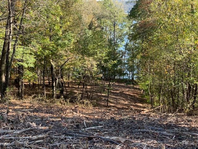 120 E Shore Dr, Rockwood, TN 37854