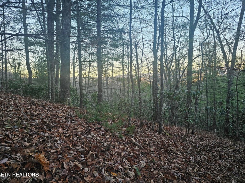 120 Greystone Way, Townsend, TN 37882
