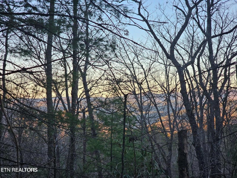 120 Greystone Way, Townsend, TN 37882