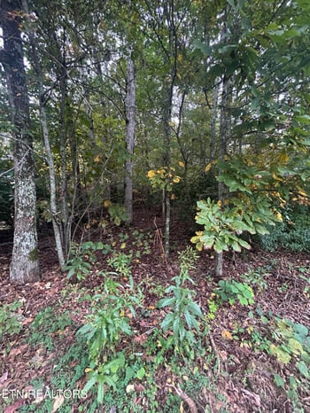 120 Meadowview Dr, Crossville, TN 38558