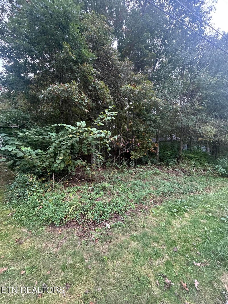 120 Meadowview Dr, Crossville, TN 38558