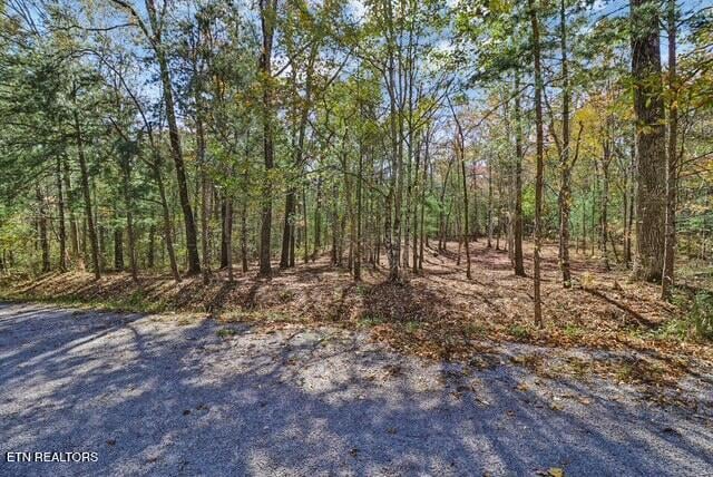 120 Newcastle Ln, Crossville, TN 38555
